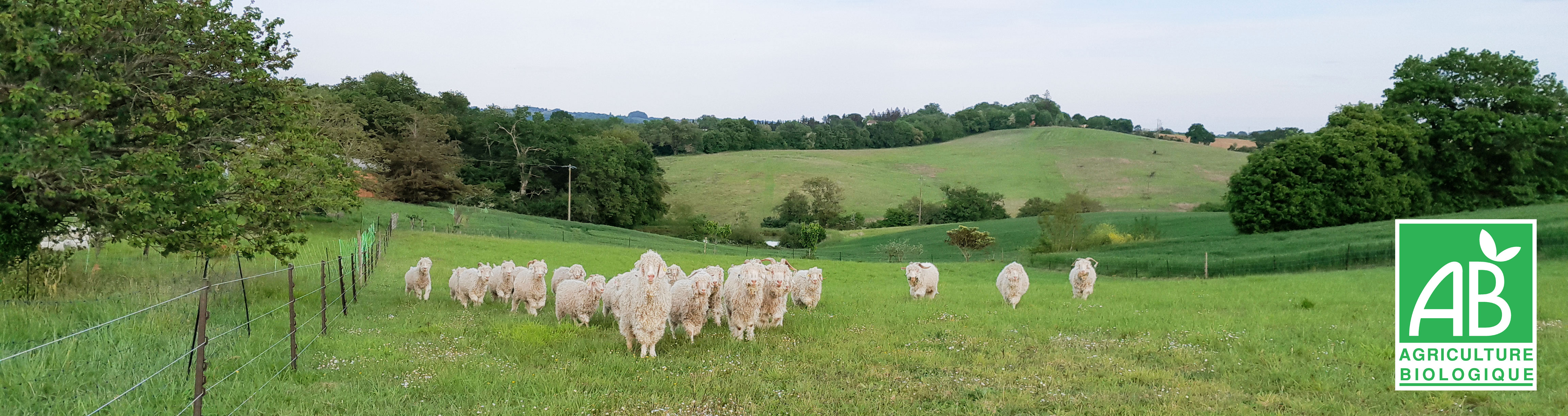 Ferme pré label bio