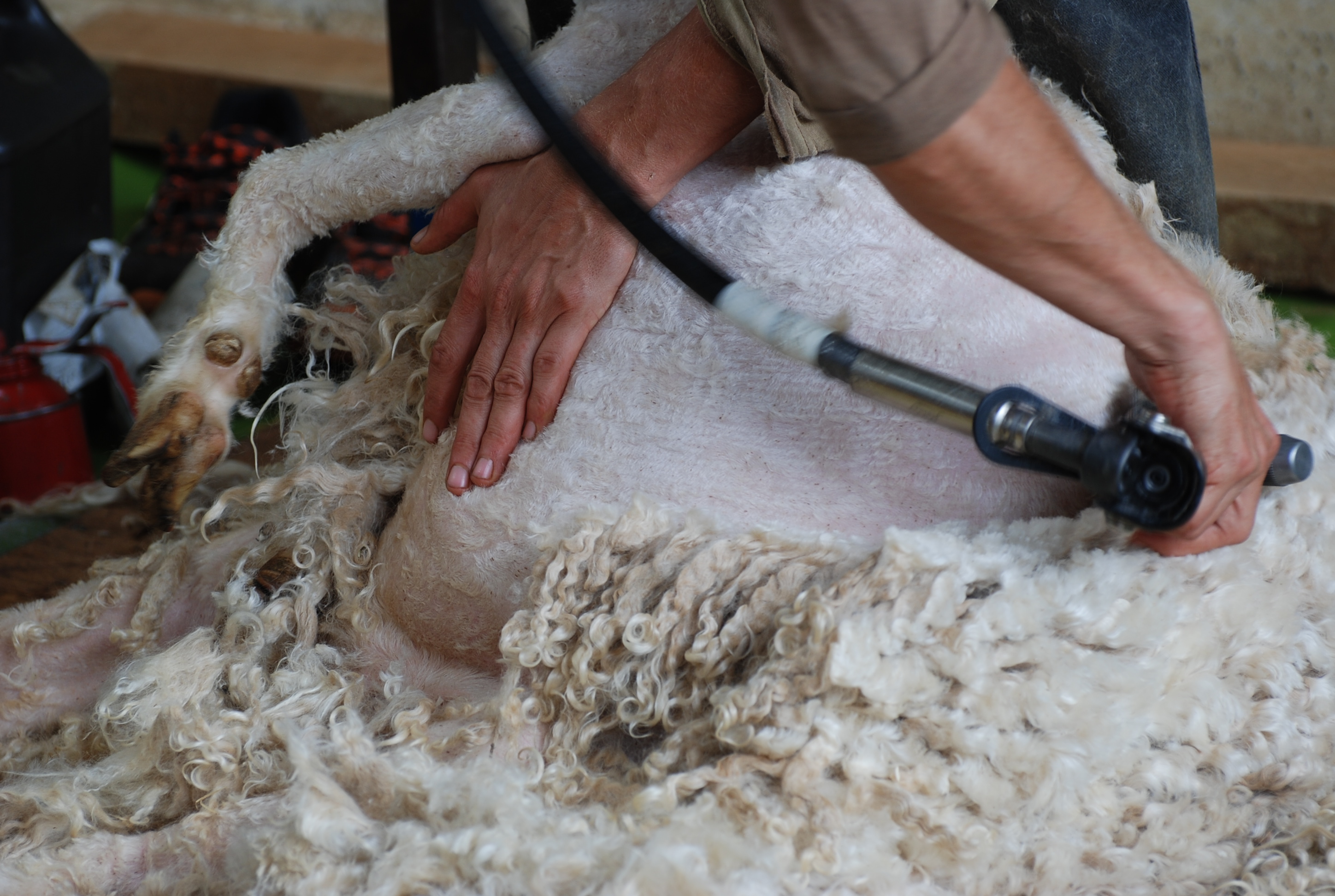 Une ferme textile