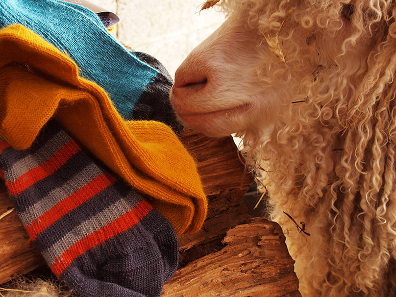 Une ferme textile